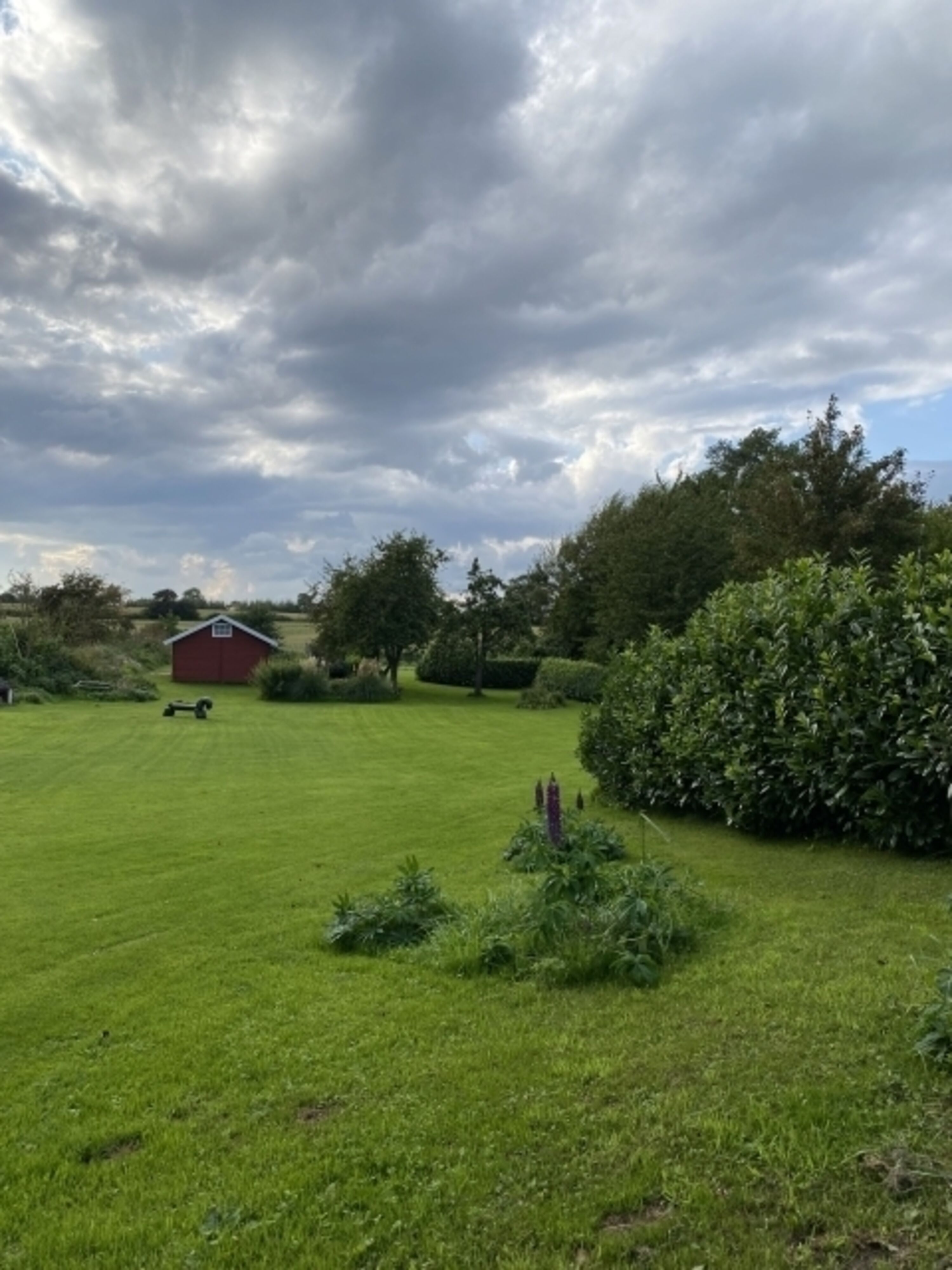 Bild 14