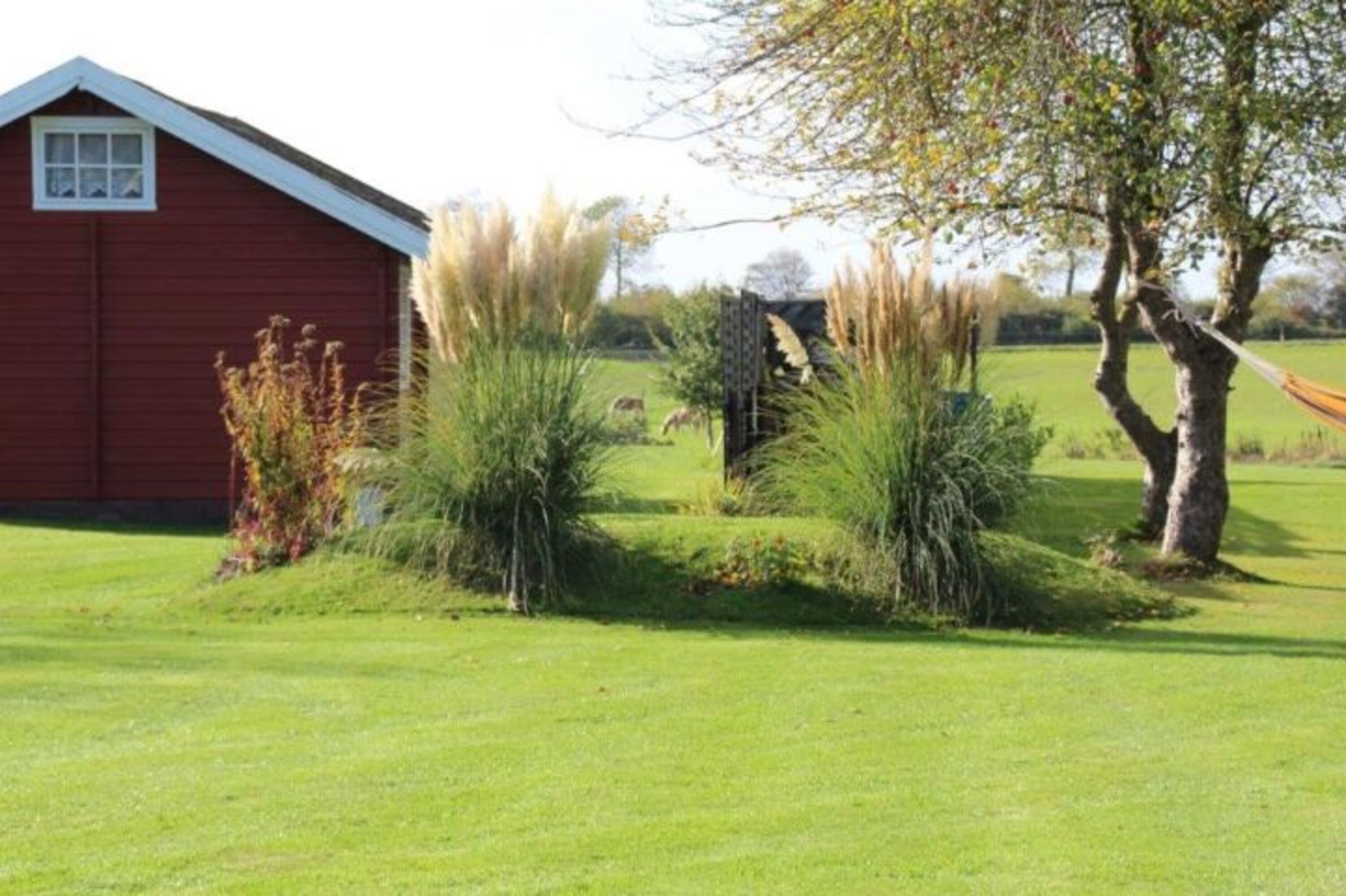 Bild 19