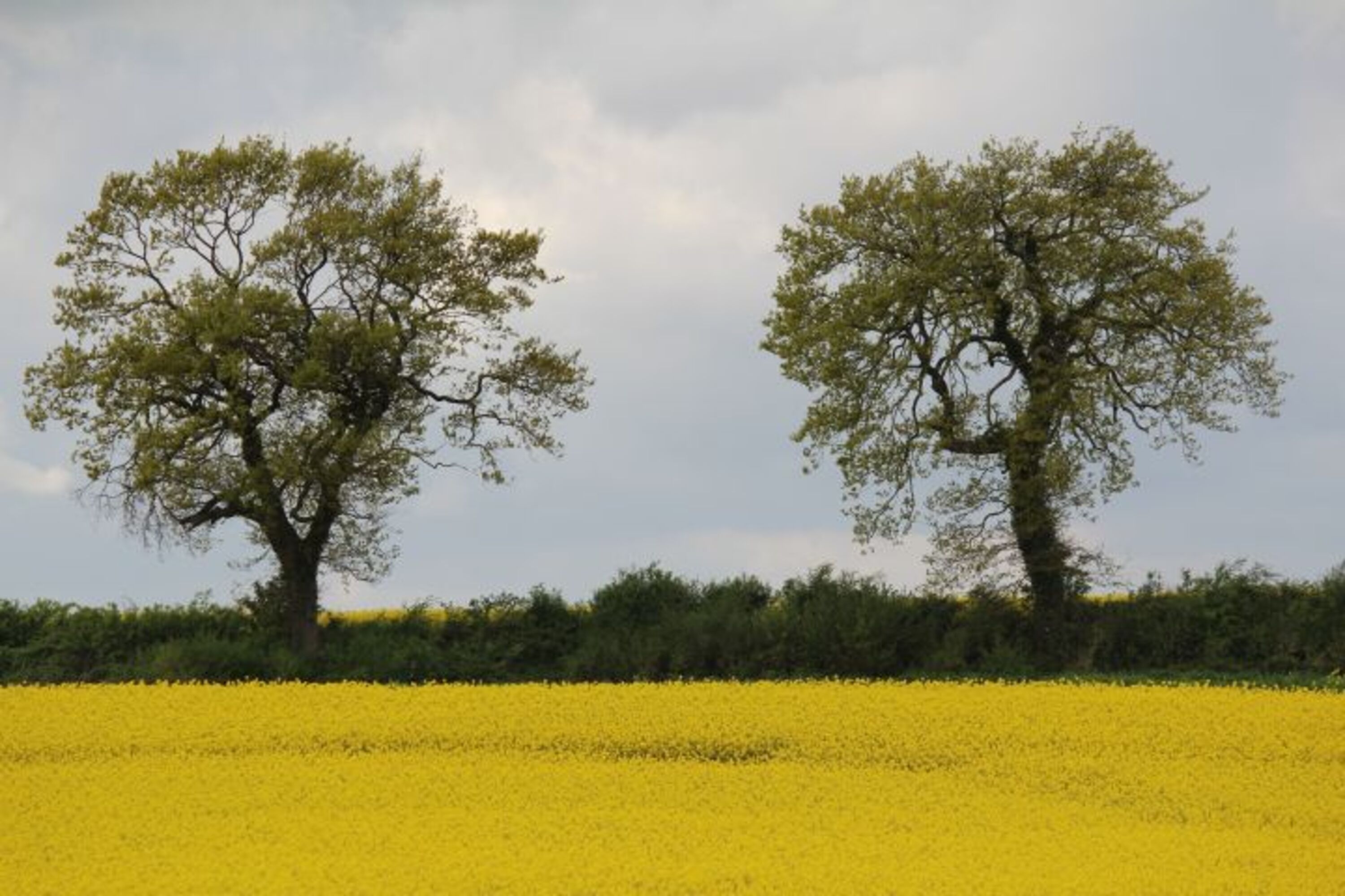Bild 29