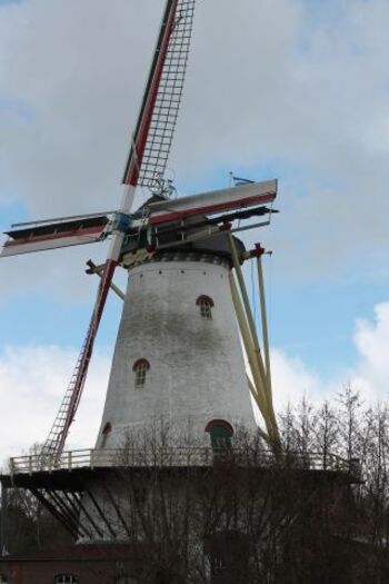 Windmühle in Burgh Haamstede