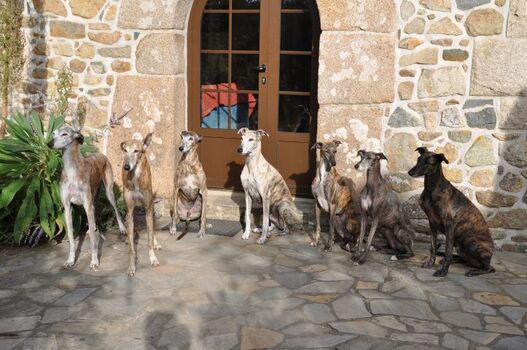 Fast so warm wie damals in Spanien....