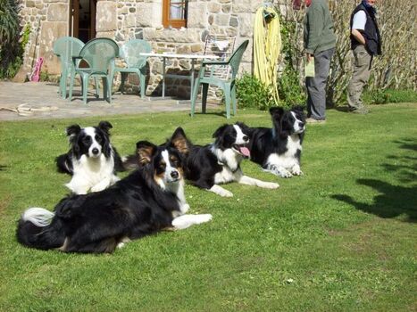 zufriedene Kundschaft im Garten