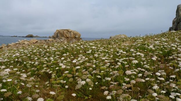 Frühsommer beim "Gouffre"