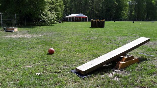 5.000 m² Hundespielplatz