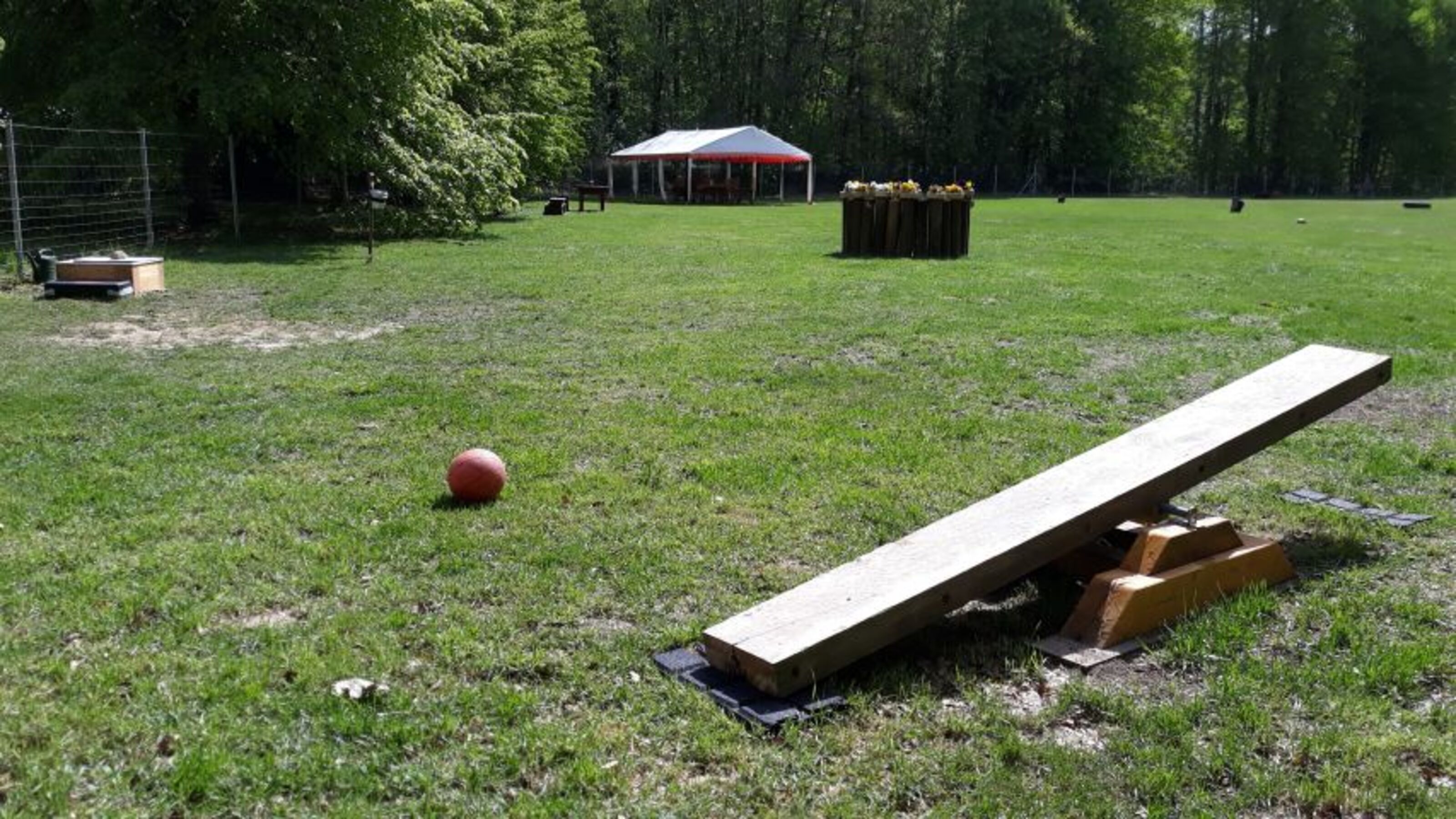 5.000 m² Hundespielplatz