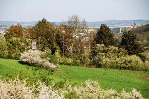 Wanderwege und Radwege mit Blick auf den Limburger Dom und die Lahn