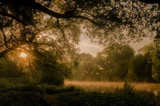 die wunderschönen Lahnauen
