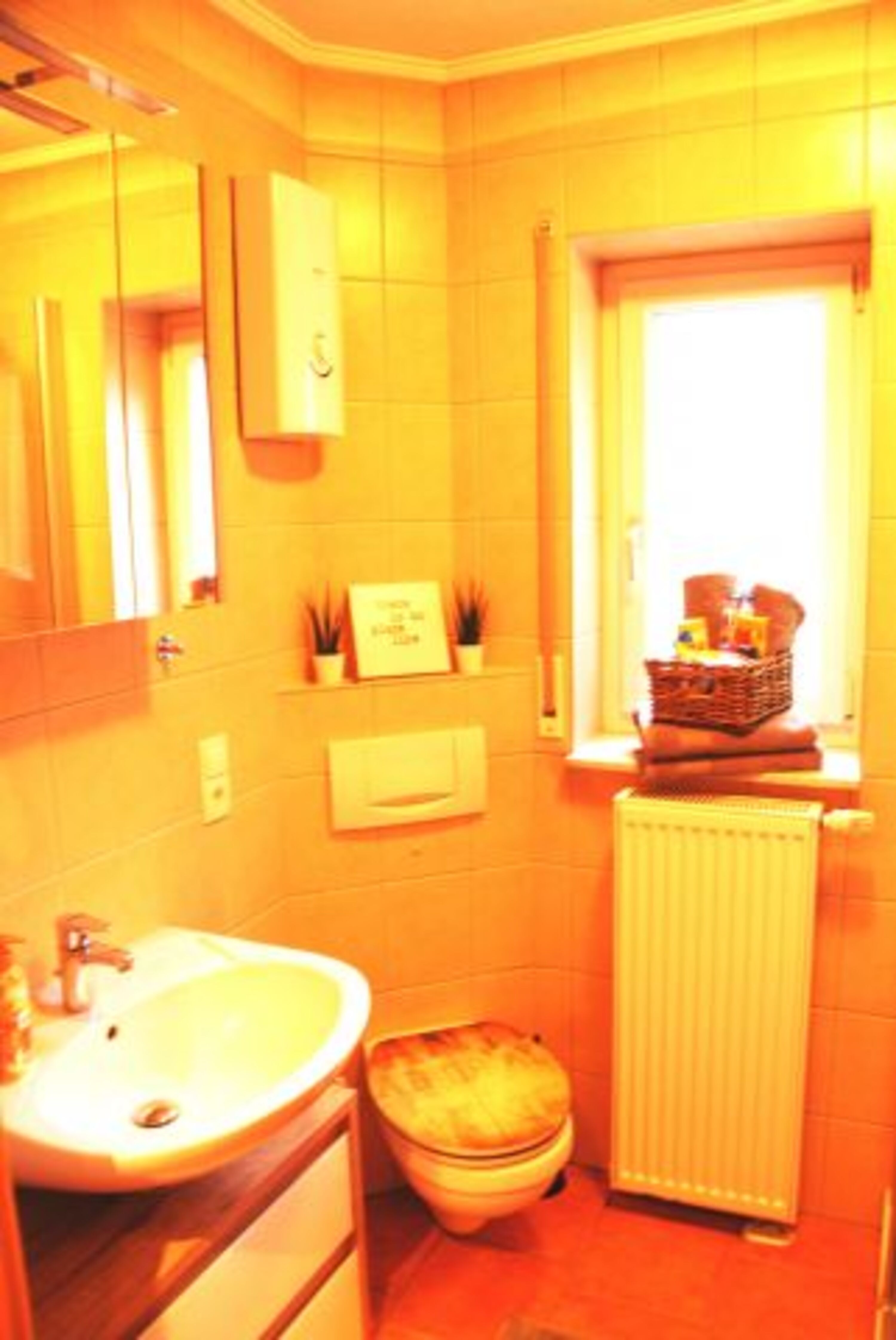 Bad mit Fenster, Dusche, Spiegelschrank, Fön, Waschmaschine 