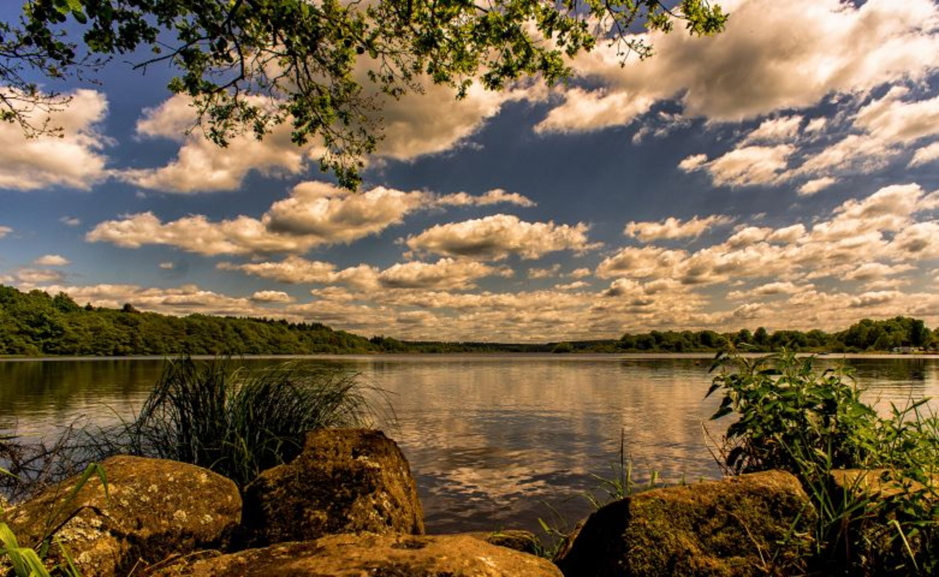 Dreifelder Weiher