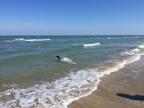 Strand in Senigallia