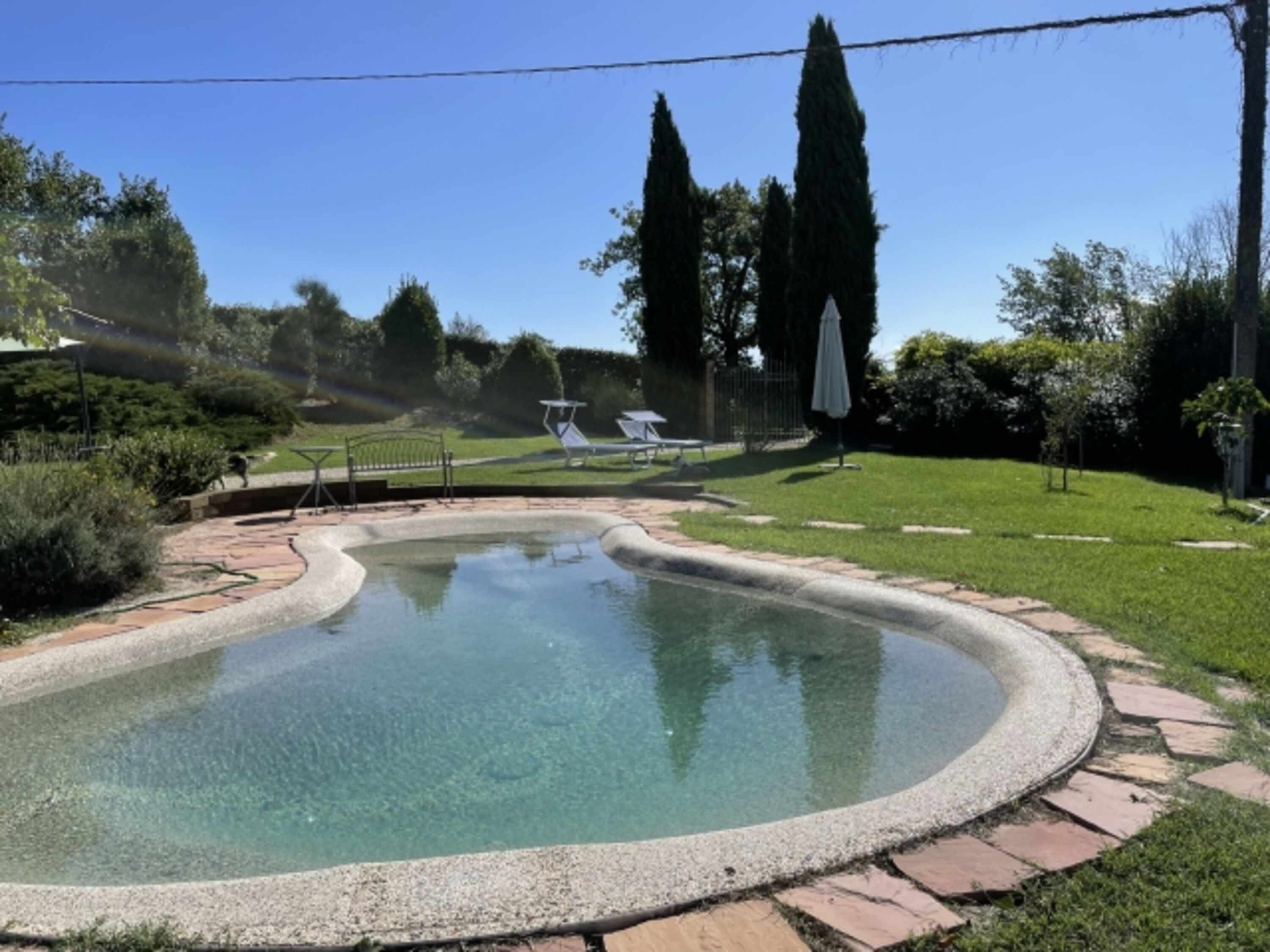 Biodesign Pool