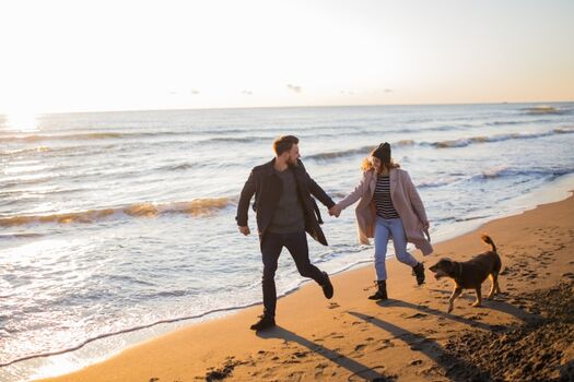 Mit dem Hund zum Strand