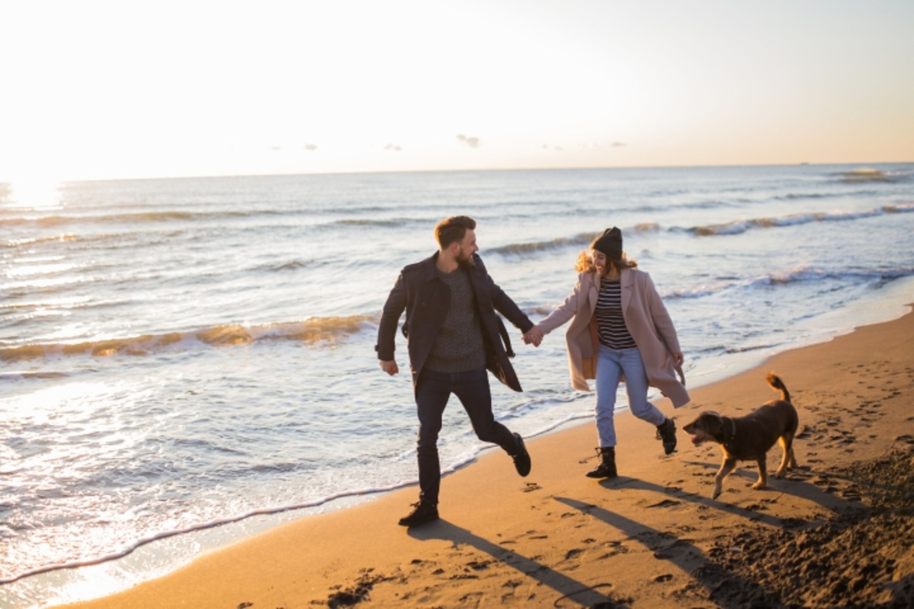 Mit dem Hund zum Strand