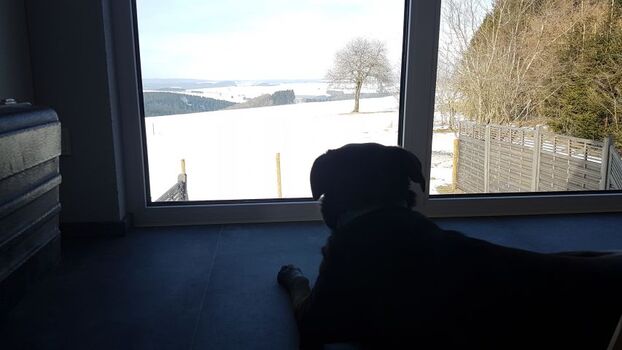 Ausblick aus dem Wohn-Ess-Bereich