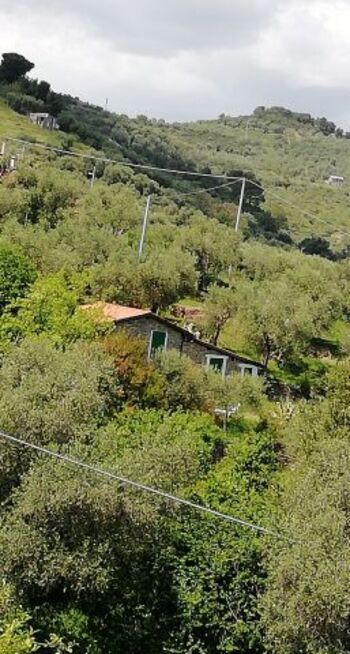 Nascosta fra gli olivi