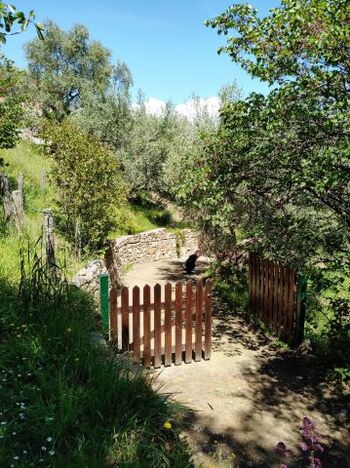 l'ingresso alla proprietà