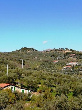 La collina dietro la Casa