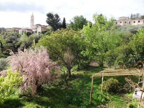 La Tamerice fiorita in giardino