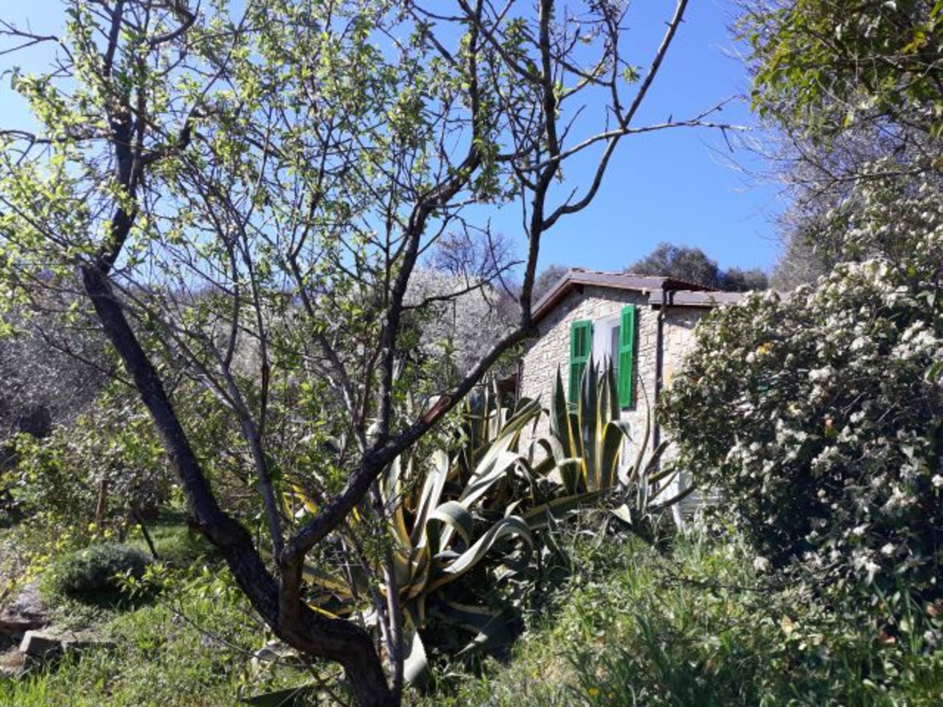 Bild 16