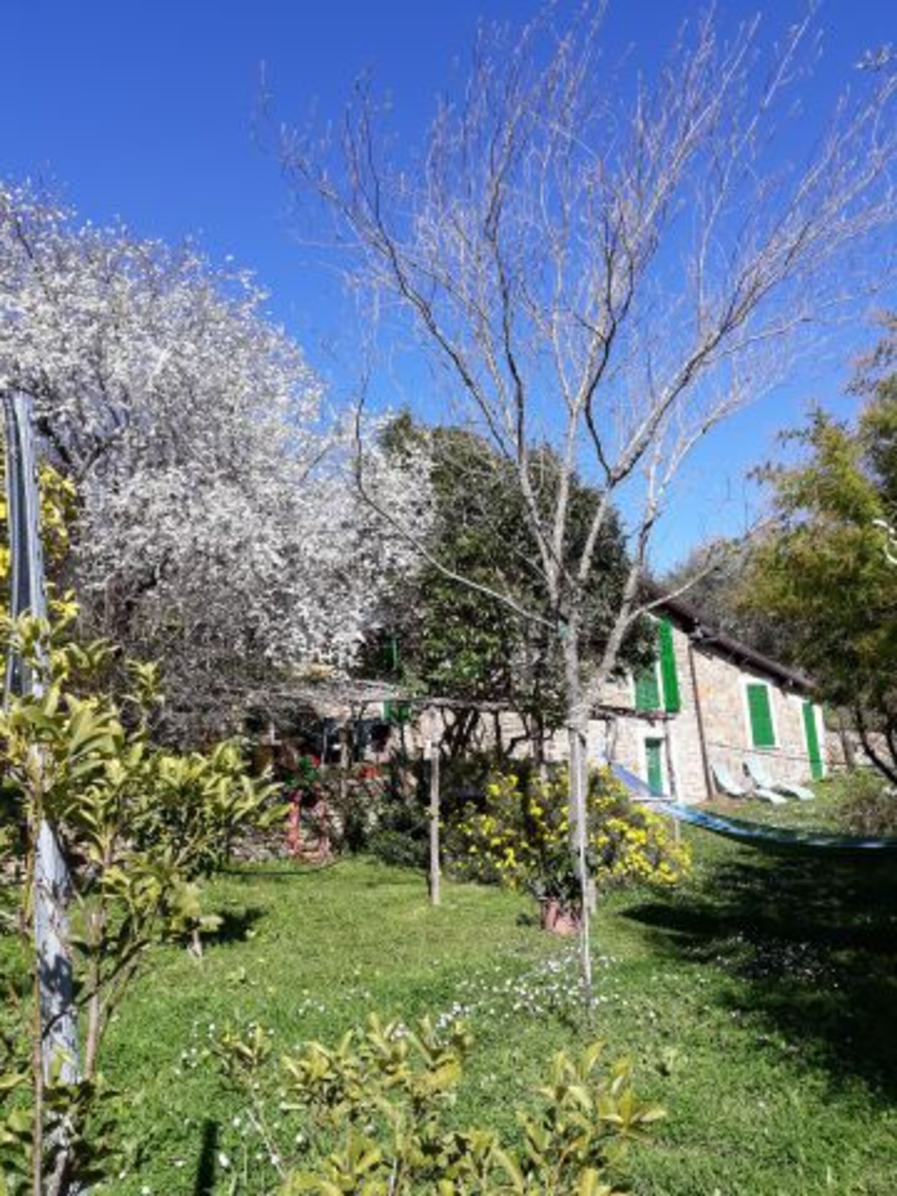 il Giardino