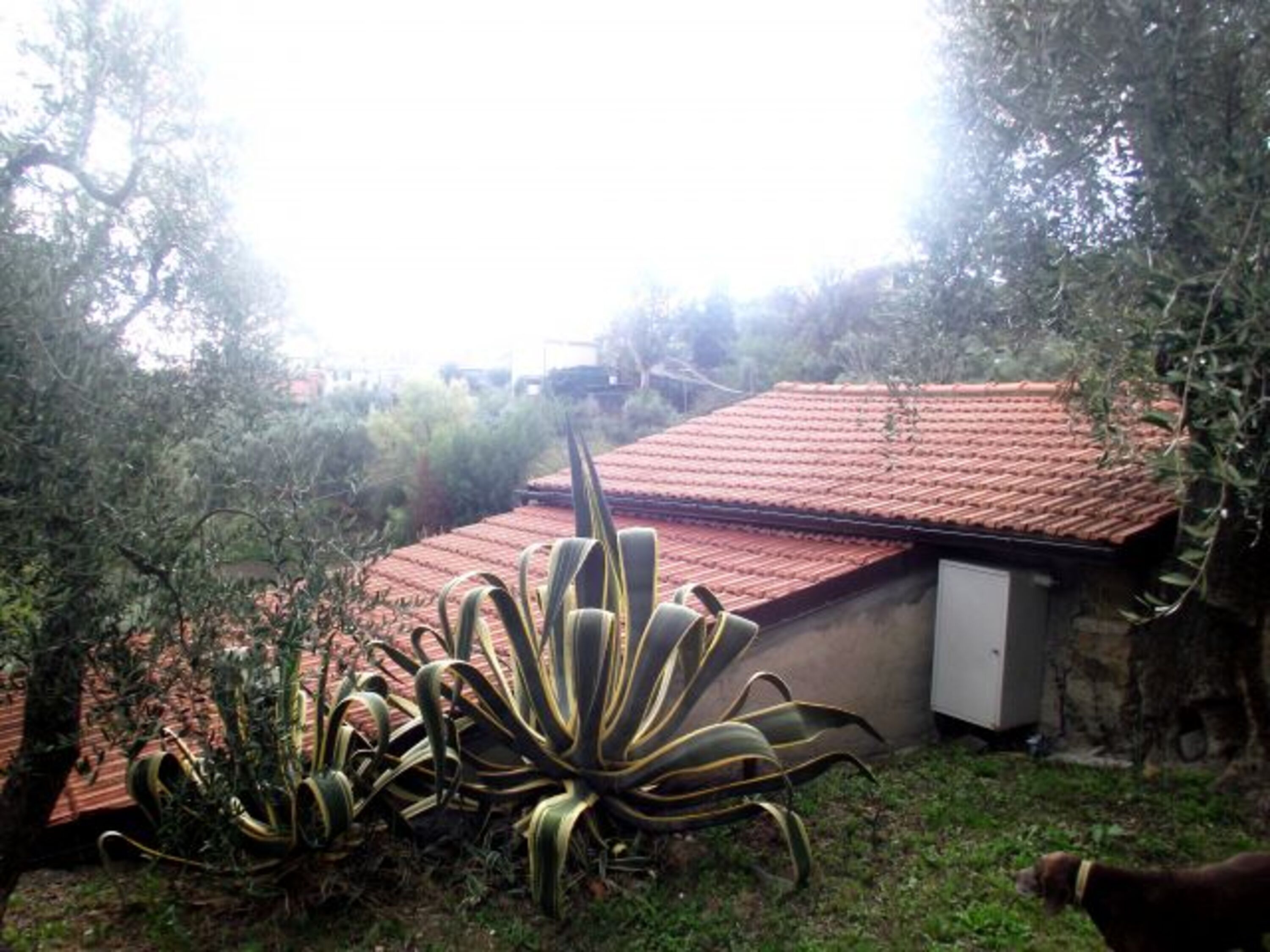 Bild 14