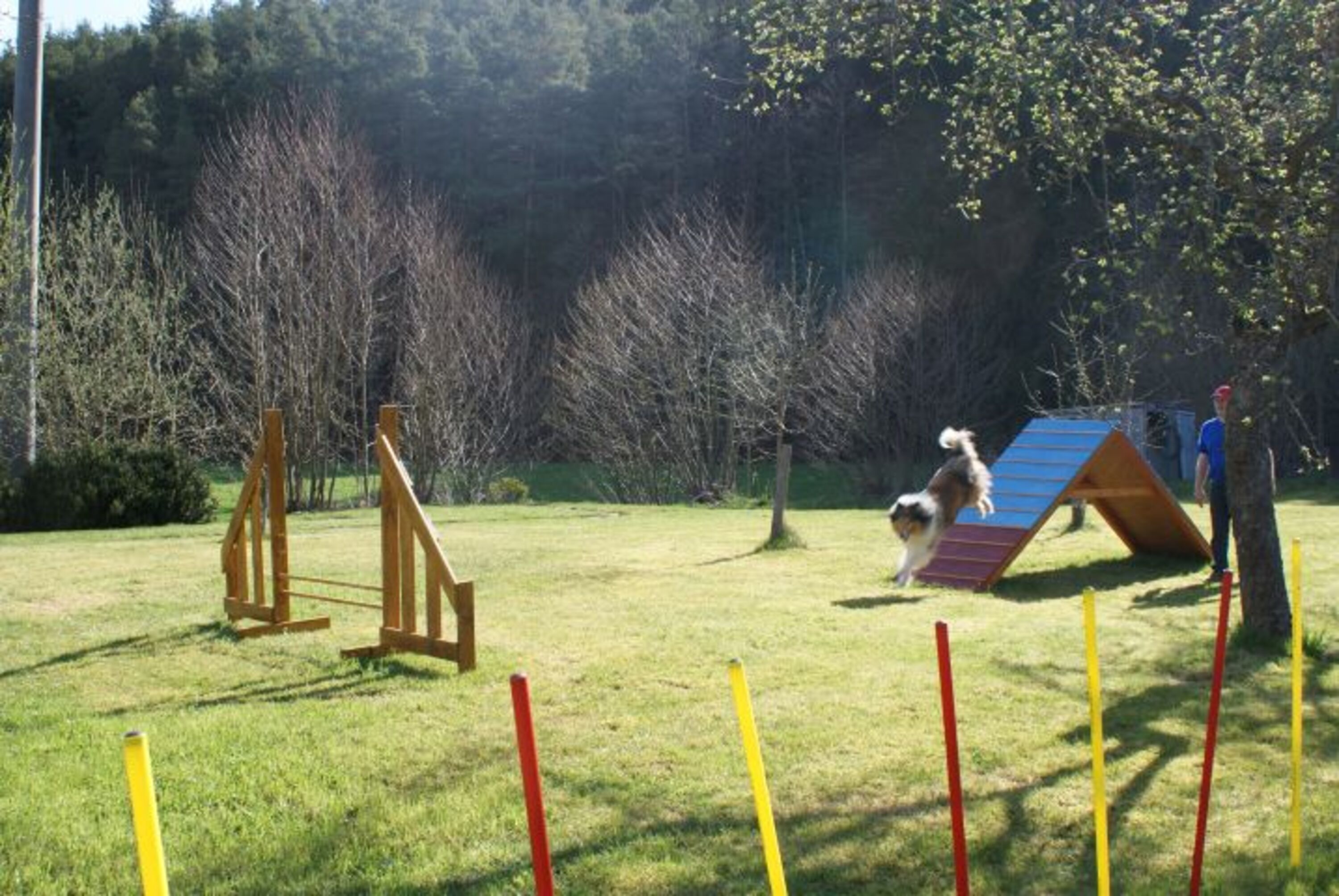 Hundewiese