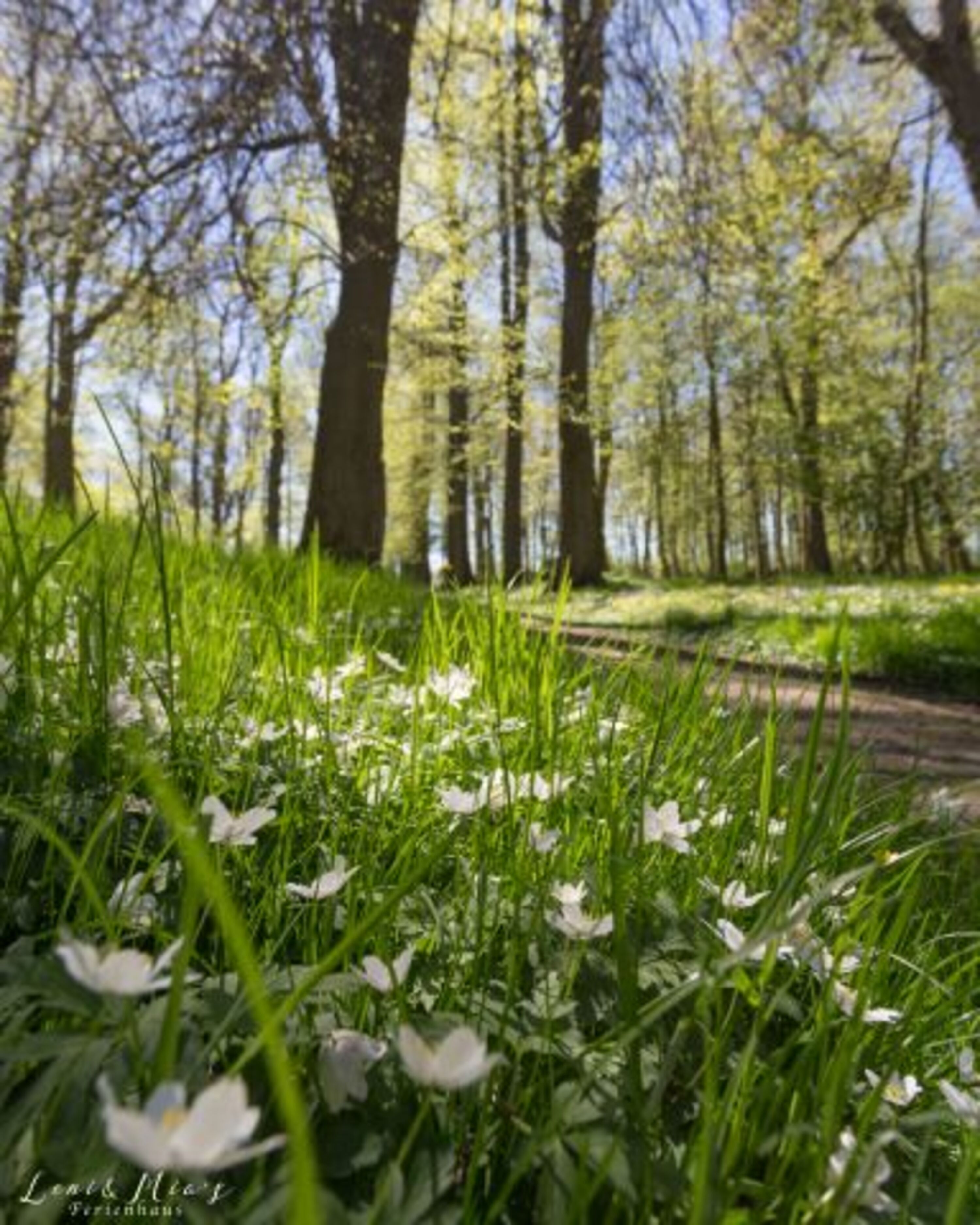 Park Juliusruh