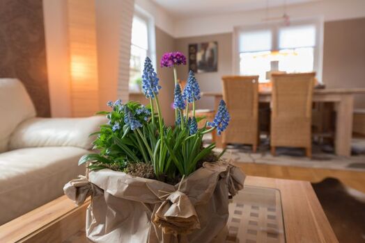 Der Frühling ist da!