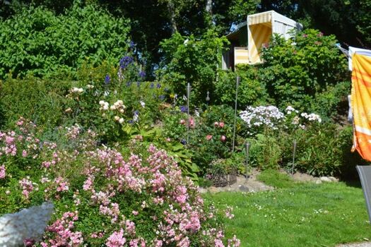 ein sonniger Platz im Strandkorb