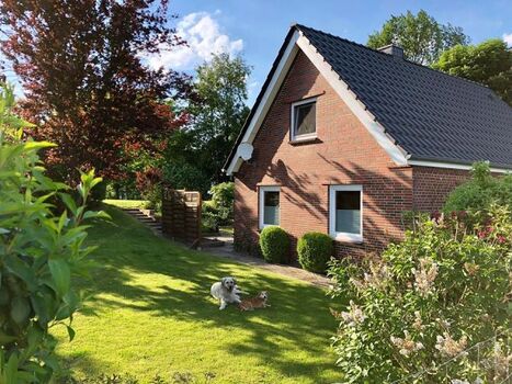 Unsere 4-beinigen Gäste genießen das 1800qm große Grundstück