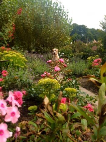 Wer hat sich denn da versteckt?