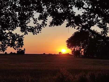 Sonnenuntergänge im hauseigenen Garten genießen!