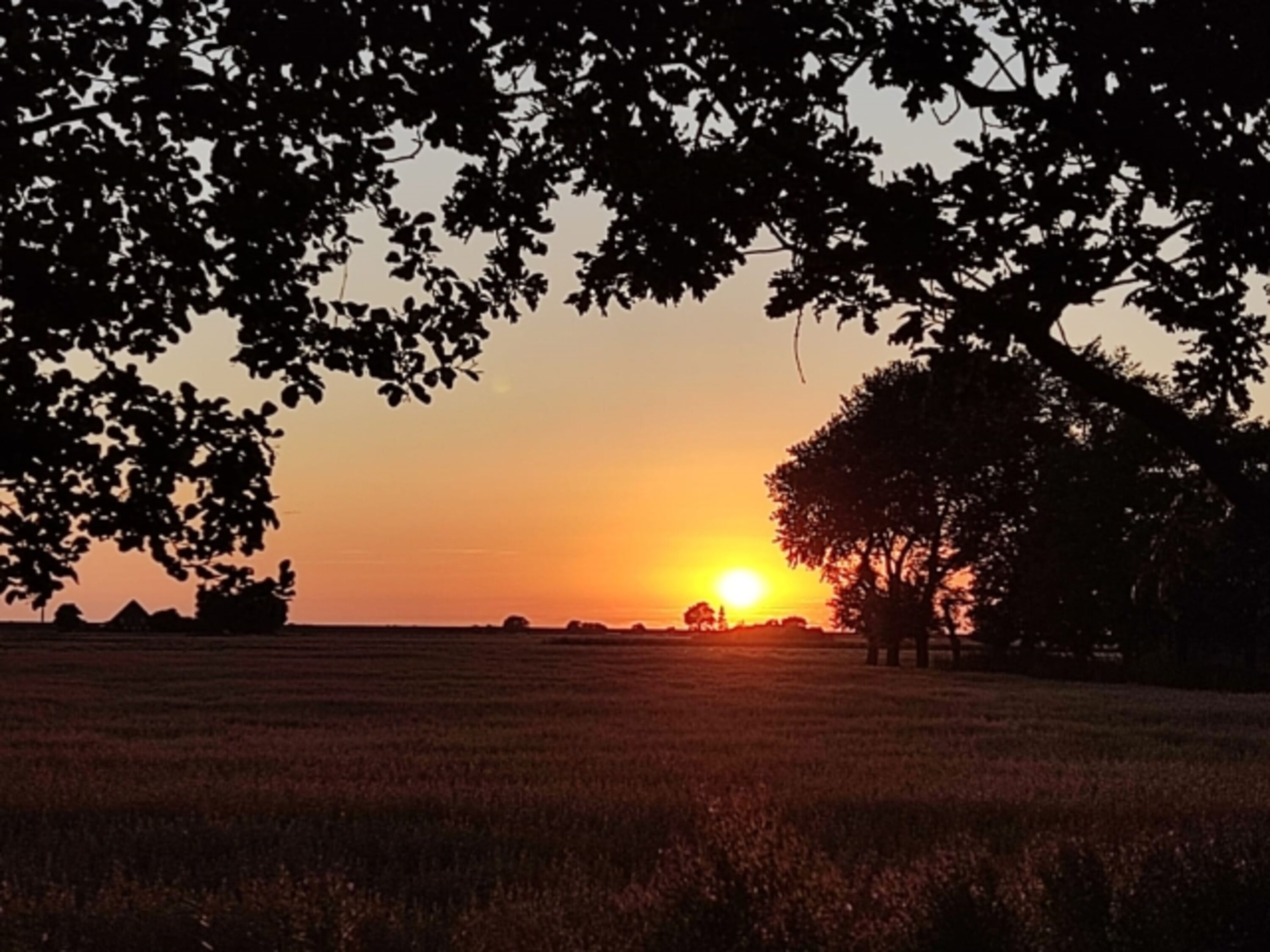 Sonnenuntergänge im hauseigenen Garten genießen!