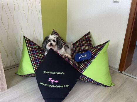 Sternenkissen für einen gemütlichen Urlaub