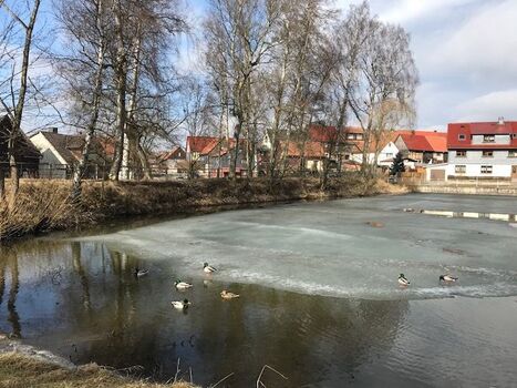 Blick vom Wasser aufs Haus 