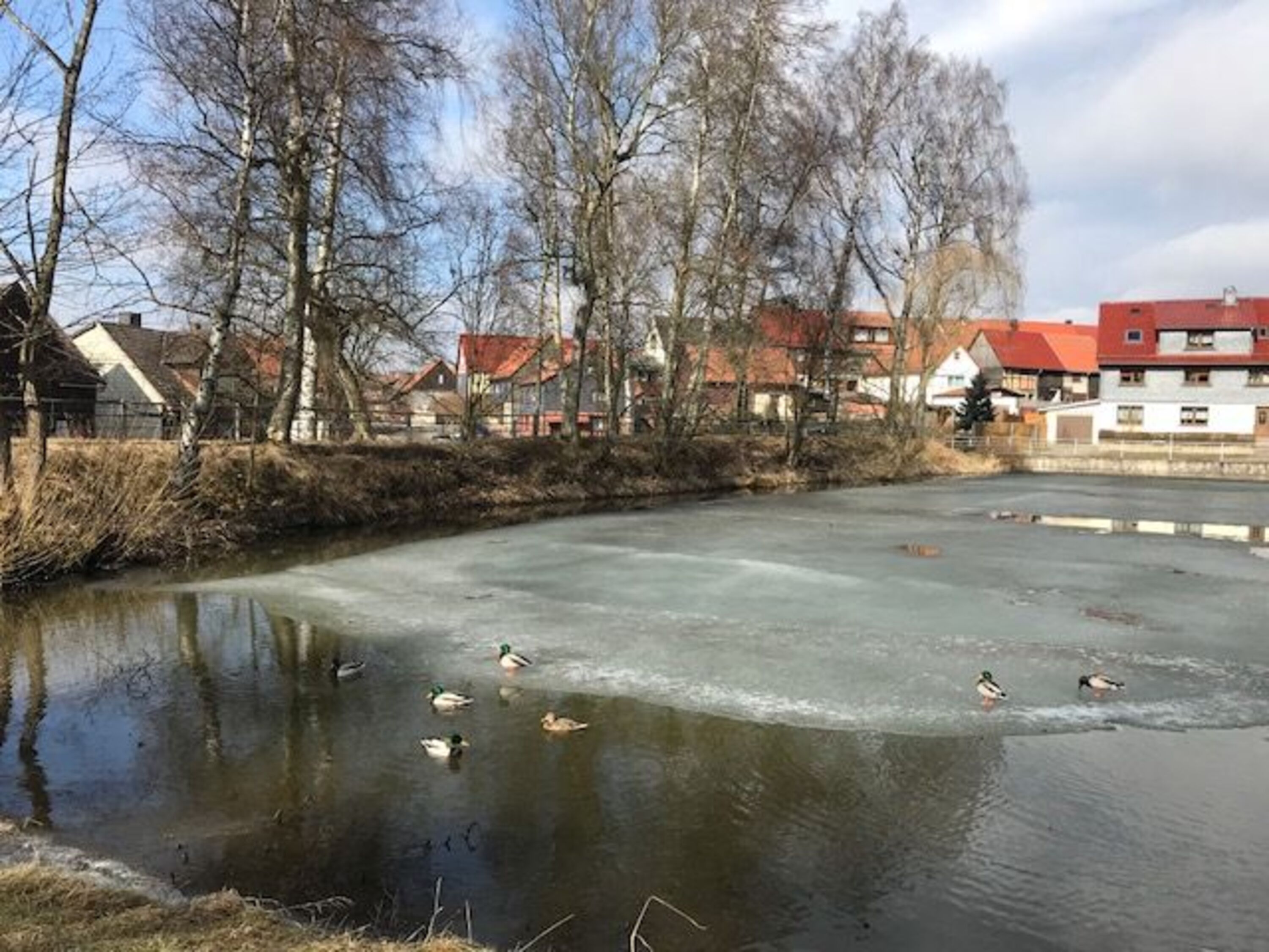 Blick vom Wasser aufs Haus 