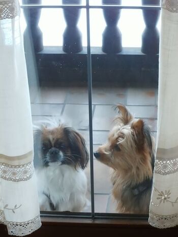 Wir müssen nicht draußen bleiben!!Ob groß oder klein.