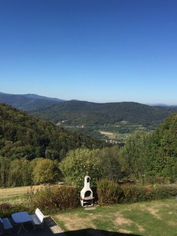 Blick vom Balkon-Gemeinschftsgarten mit Grill