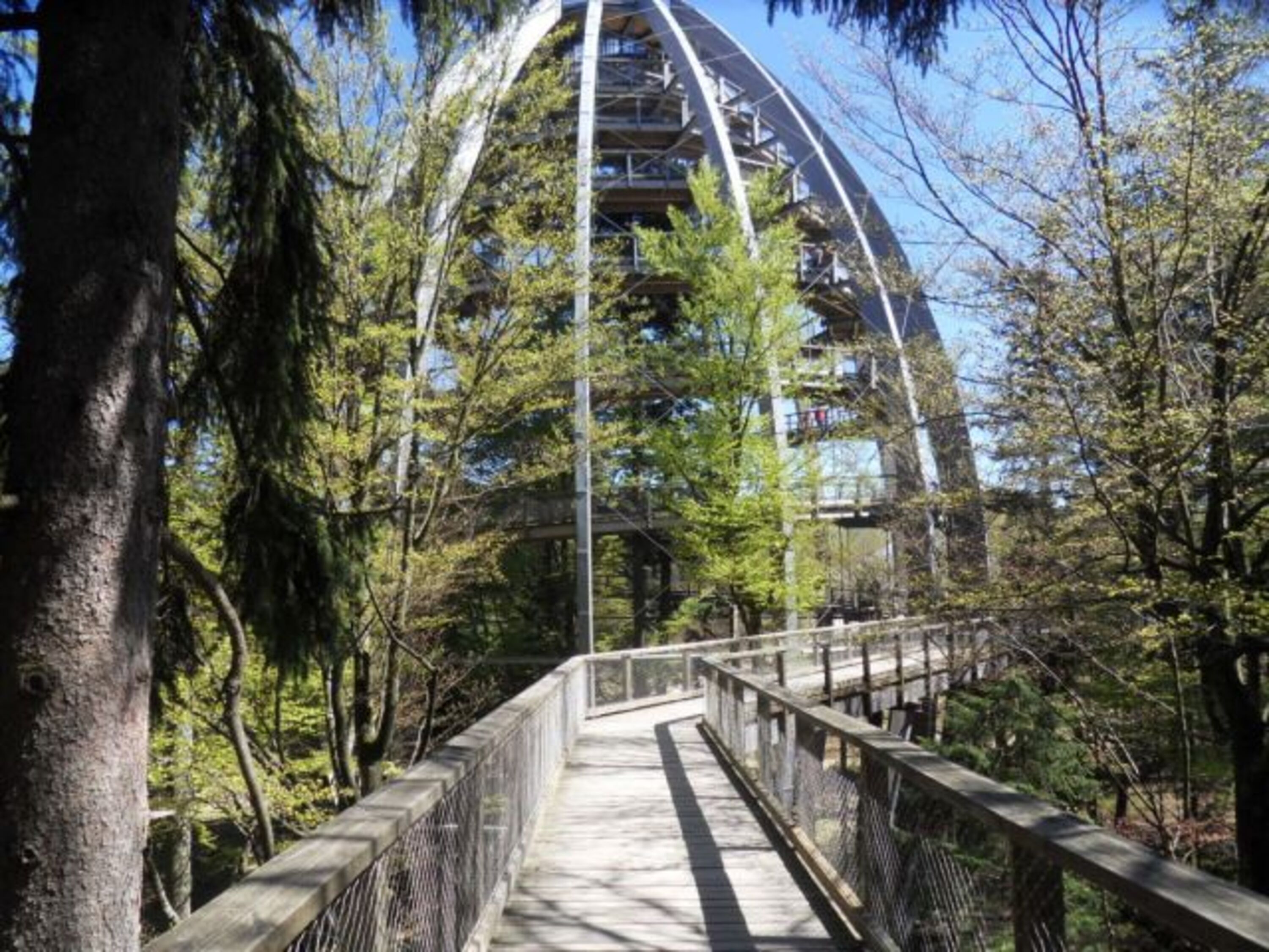 Bild 15