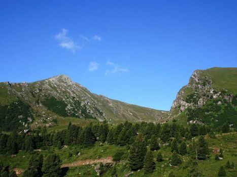 Ausblick Balkon Sommer