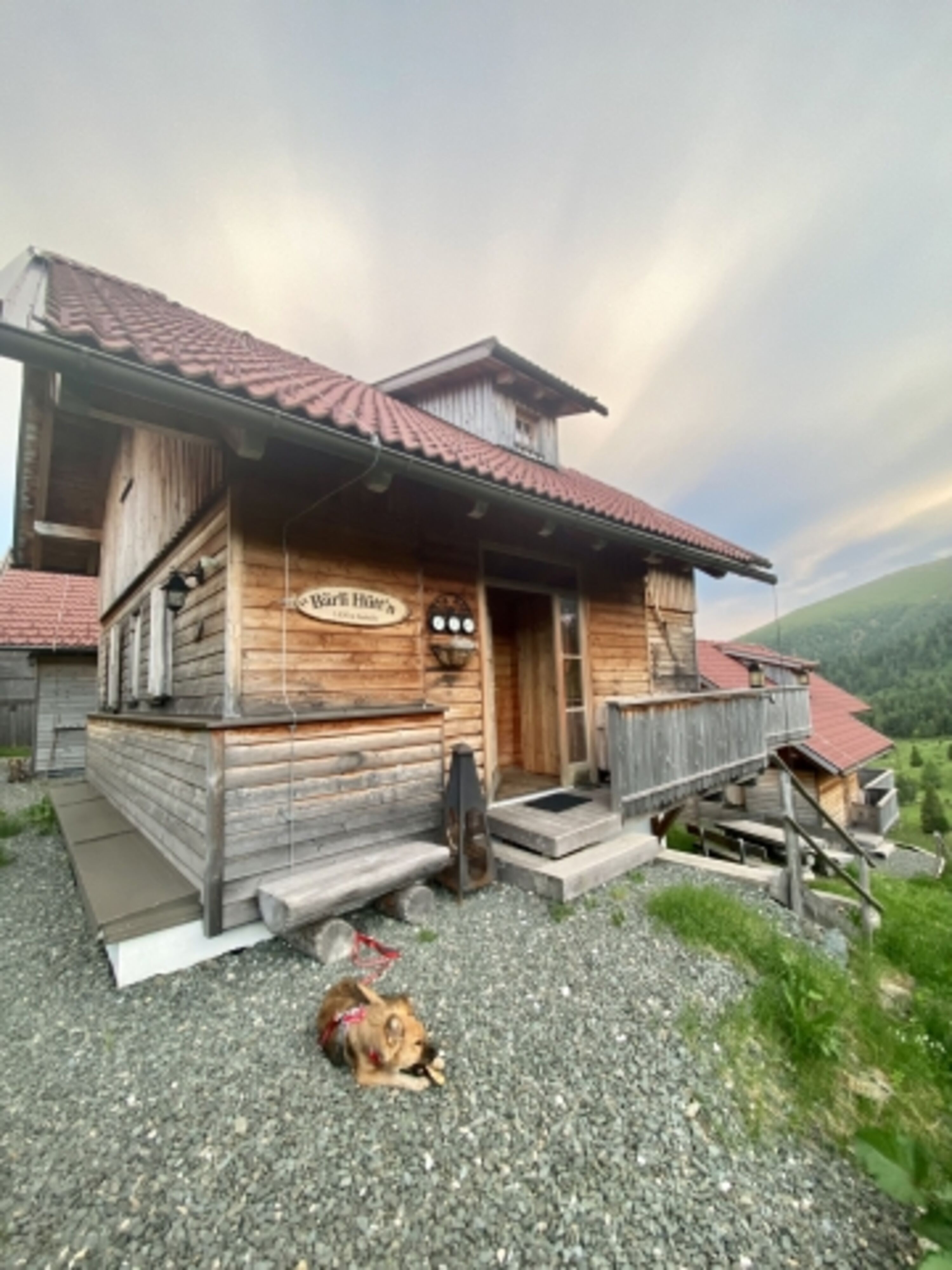 Bild 5