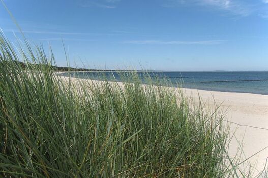 Düne mit Strand Nähe Ferienhaus