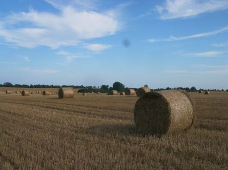Herbstzeit auf Rügen