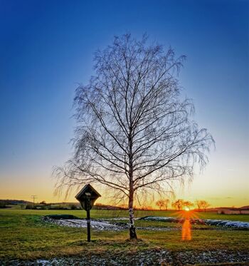 Abendsonne genießen bei einem Spaziergang um Bellershausen