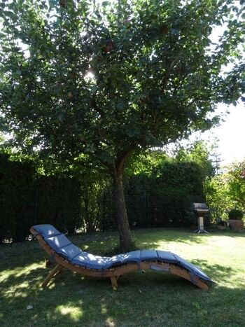 Chillen im Garten  unter dem Apfelbaum