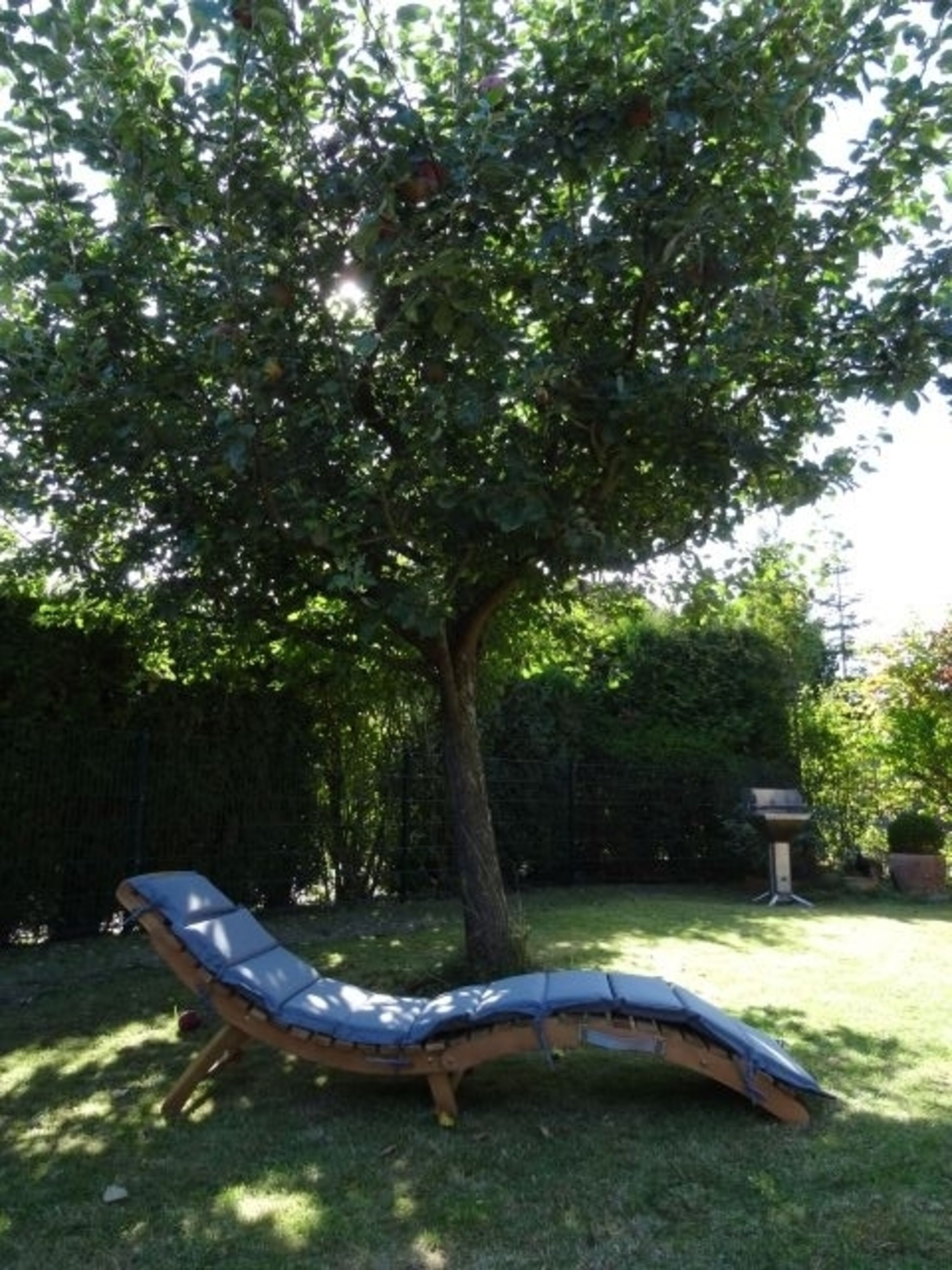 Chillen im Garten unter dem Apfelbaum