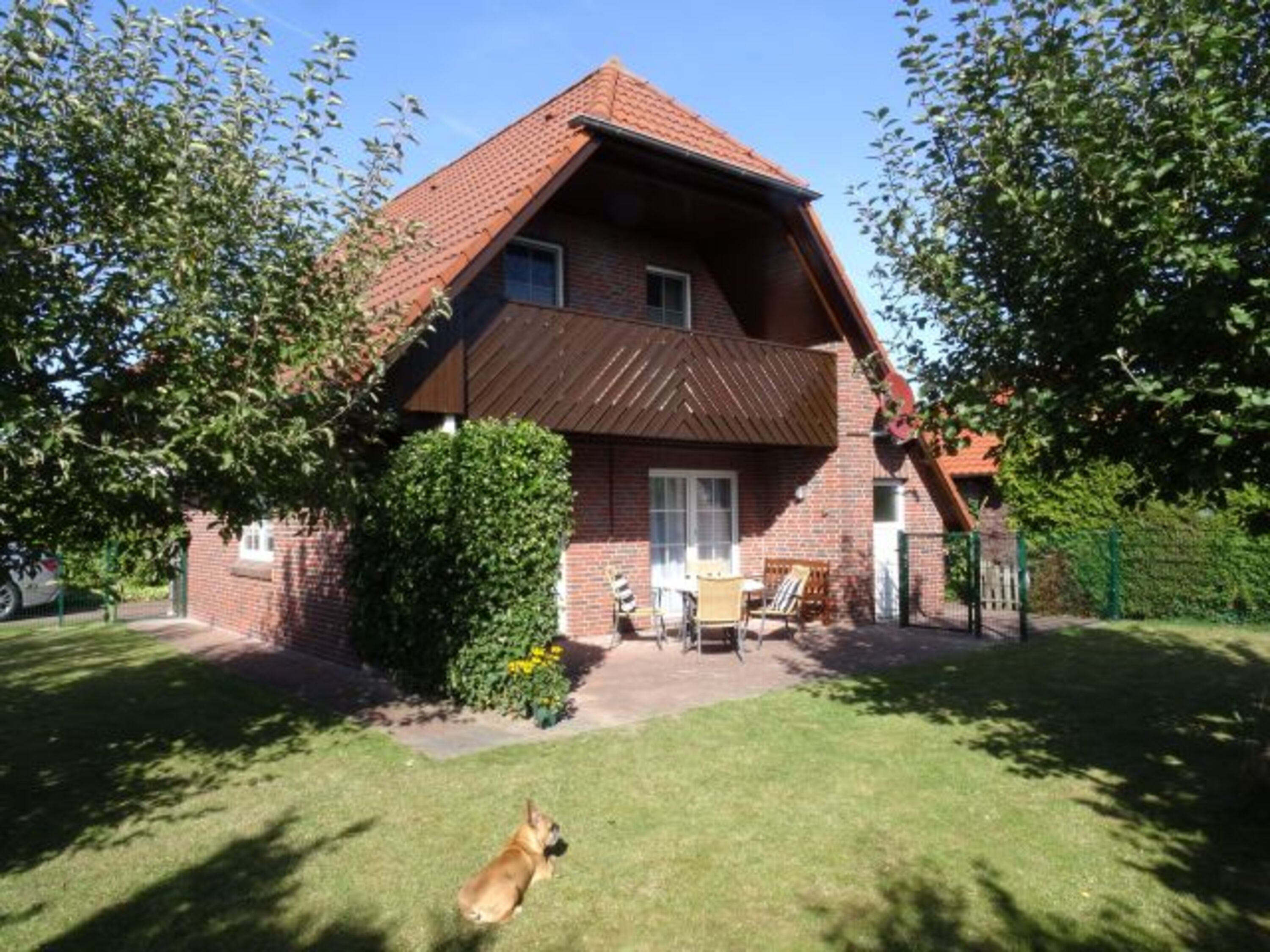 Swiet Ava
