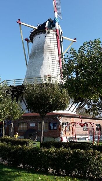 Pfannkuchenmühle Burgh Haamstede