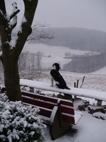 Auch im Winter ein Traum...