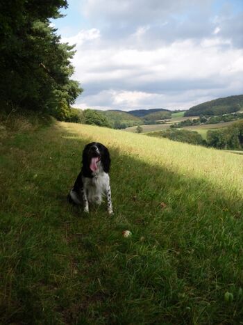 Zahlreiche Wanderwege starten direkt vom Haus aus!